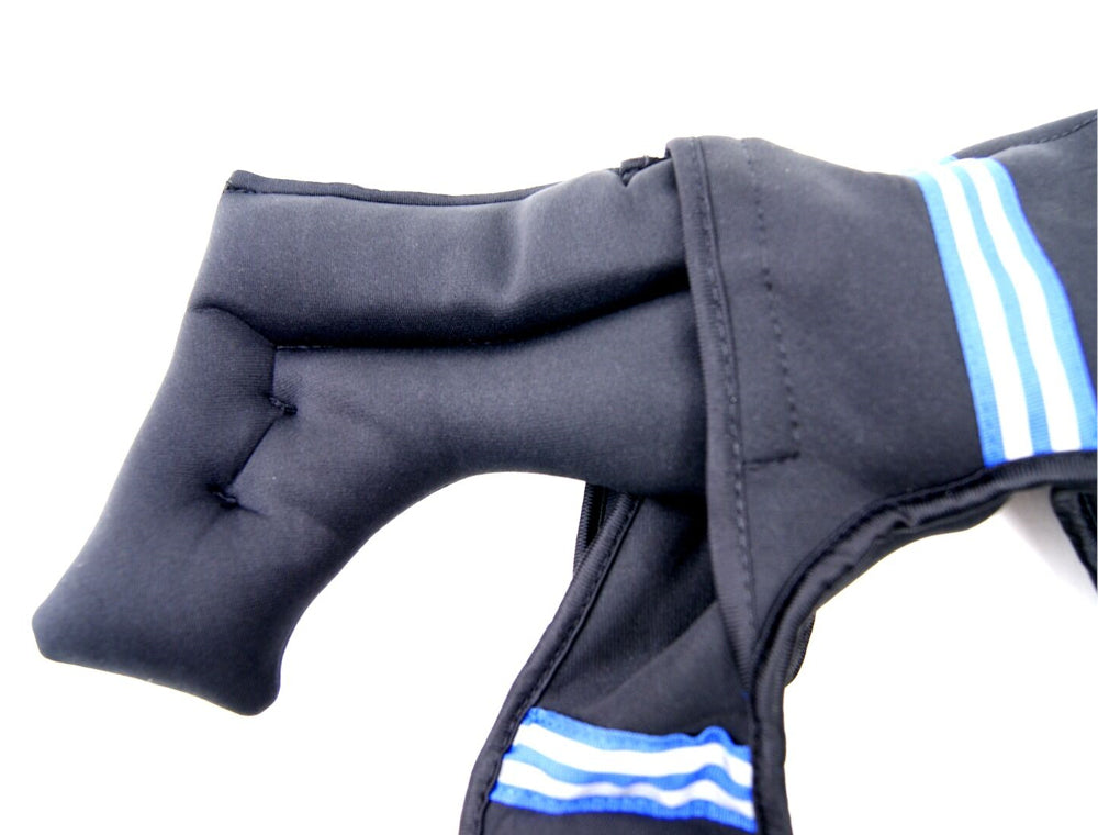 csv_image script 1780406058.jpg